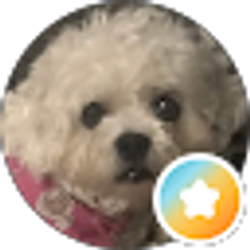 Profile photo of Deanna Johnson