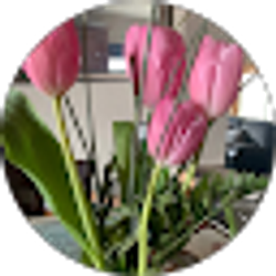 Profile photo of Garden Art