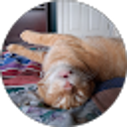 Profile photo of Brett Borden