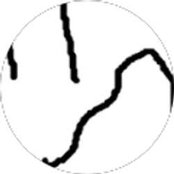 Profile photo of Rauly405 (Raul)