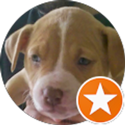 Profile photo of Gina Dawsey