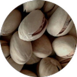 Profile photo of Just ThreeWheels