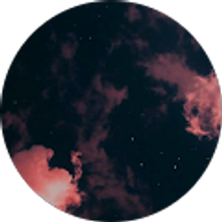 Profile photo of Bella Dinelli