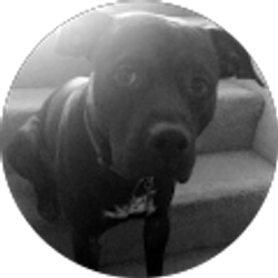 Profile photo of Sh4dow Slayer