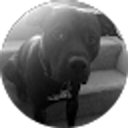 Profile photo of Sh4dow Slayer