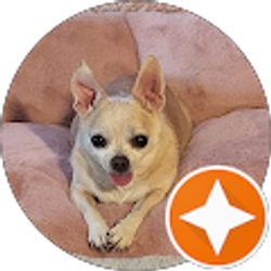 Profile photo of Ms. T. GW