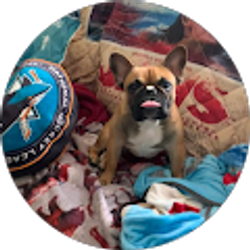 Profile photo of Thomas Eastman