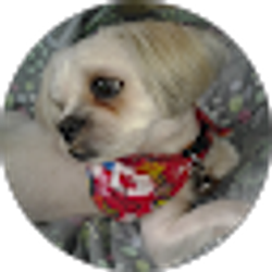 Profile photo of Hector Gomez