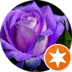 Profile photo of Michelle Rooks