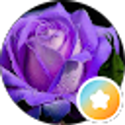 Profile photo of Michelle Rooks