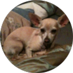 Profile photo of Ben Elias