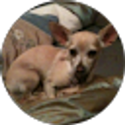 Profile photo of Ben Elias
