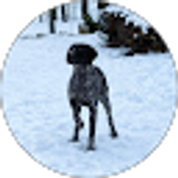Profile photo of Mason Walker
