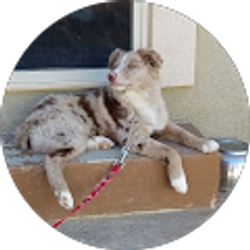 Profile photo of bobbi watson