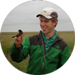 Profile photo of Joe Welklin