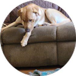 Profile photo of Rebecca