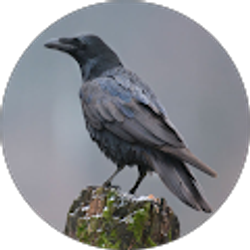 Profile photo of SevsSpot