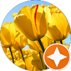 Profile photo of Linds