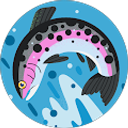 Profile photo of Drew K.