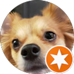 Profile photo of Brenda Morrell