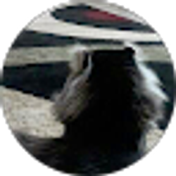 Profile photo of Stanley Dabrowski