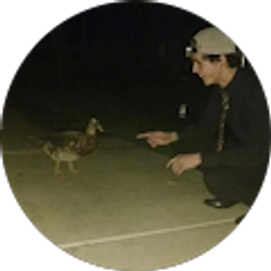 Profile photo of Joe Morency