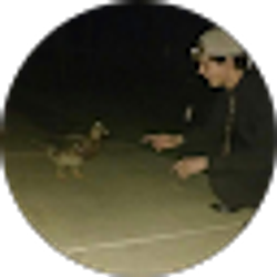 Profile photo of Joe Morency