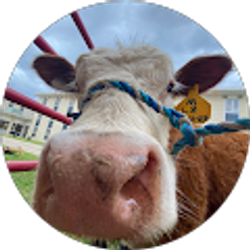 Profile photo of Mackenzie Pruitt