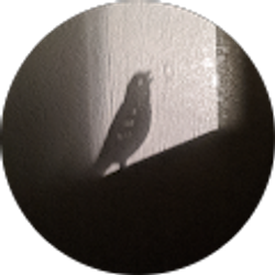 Profile photo of Belynda Bell