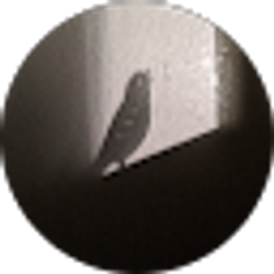 Profile photo of Belynda Bell