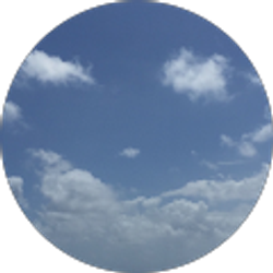 Profile photo of Ramona Ward