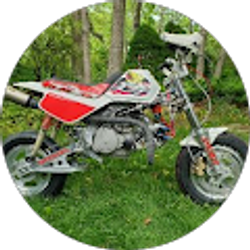 Profile photo of David Olenick