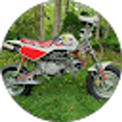 Profile photo of David Olenick