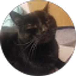 Profile photo of Krystle Hubbard