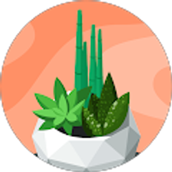 Profile photo of Faviola