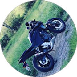 Profile photo of Matthew Williams