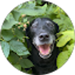 Profile photo of Brandon “Legume” Aument