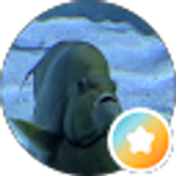 Profile photo of Katie
