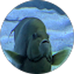 Profile photo of Katie