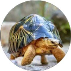 Profile photo of Denise Evans