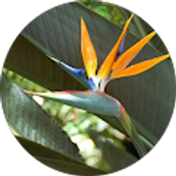 Profile photo of Elizabeth Fernandez