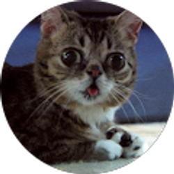 Profile photo of Larz Montanez