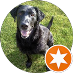 Profile photo of RW Dylan Taliaferro