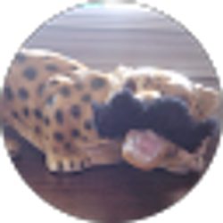 Profile photo of P-Ninny Chimera
