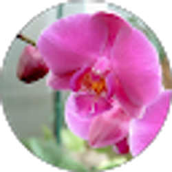 Profile photo of Michelle Westermeier