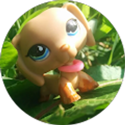 Profile photo of Lps Clairs