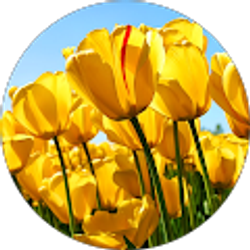 Profile photo of Erika D