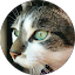 Profile photo of Kat McDonald