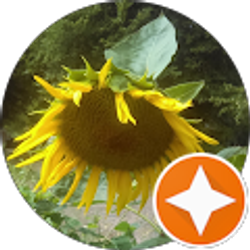 Profile photo of Debbie Mountain