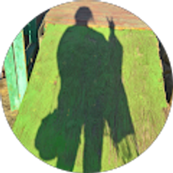 Profile photo of Angie Collins